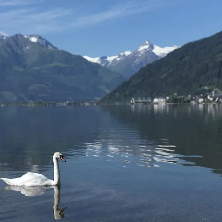 Gospodarstwo agroturystyczne Kronawendthof