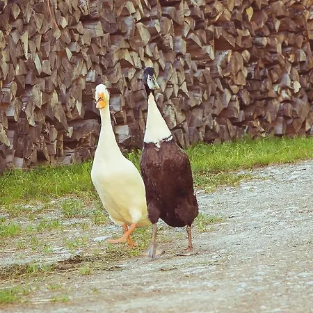 Kronawendthof * Zell am See