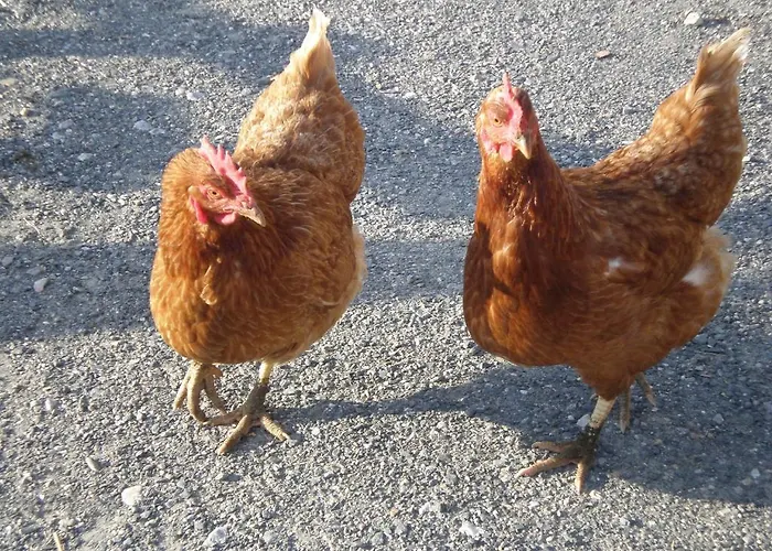 Kronawendthof Zell am See