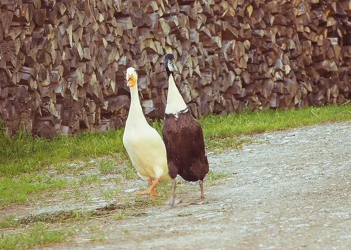 Kronawendthof * Zell am See